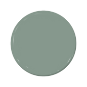 Puck - C2-697-C2 Paint