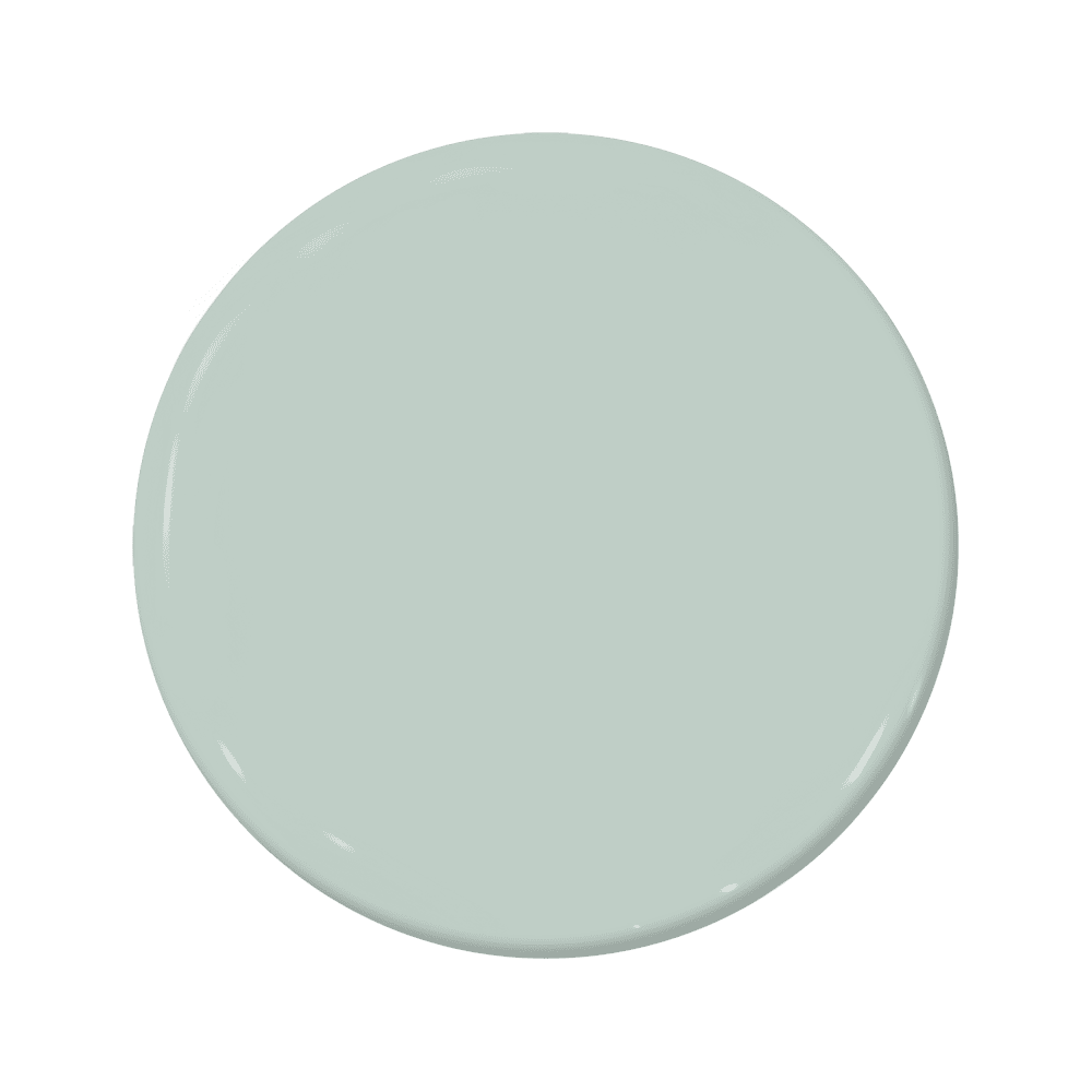 Au Contraire - C2-703-C2 Paint