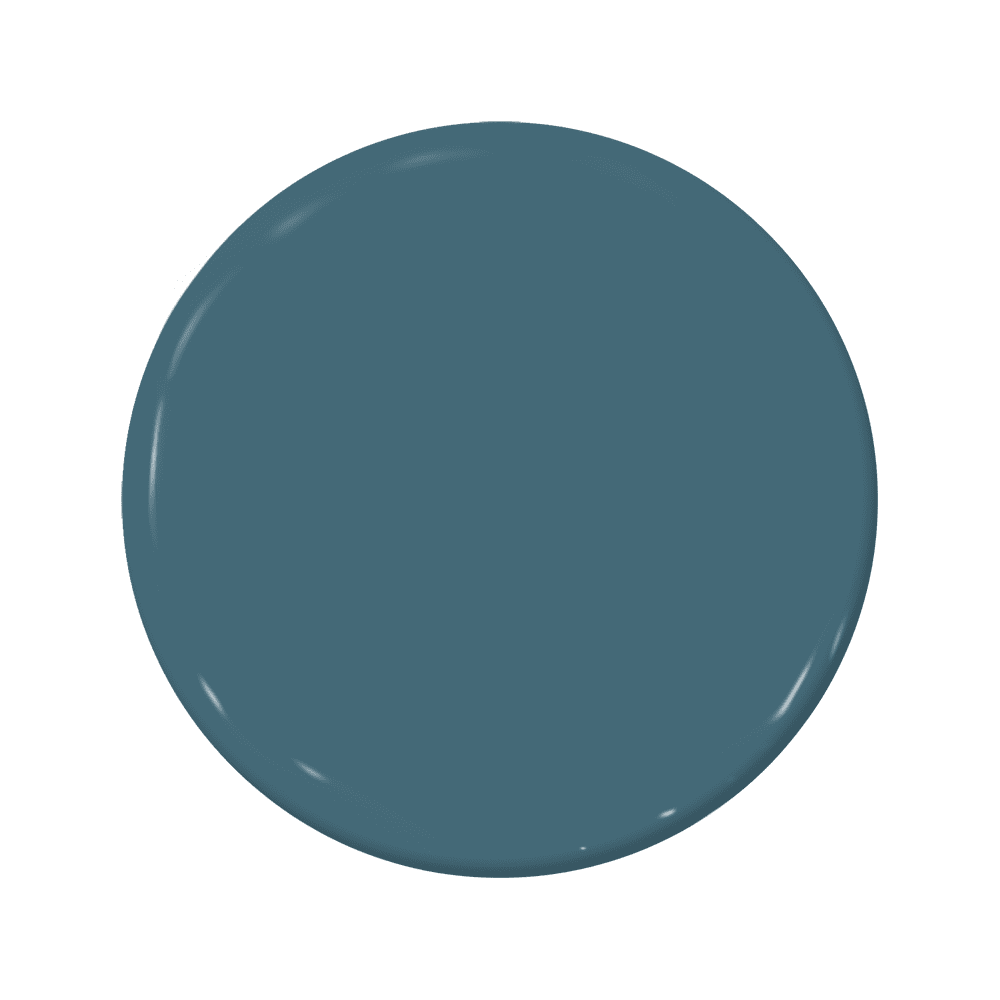 Scallywag - C2-727-C2 Paint