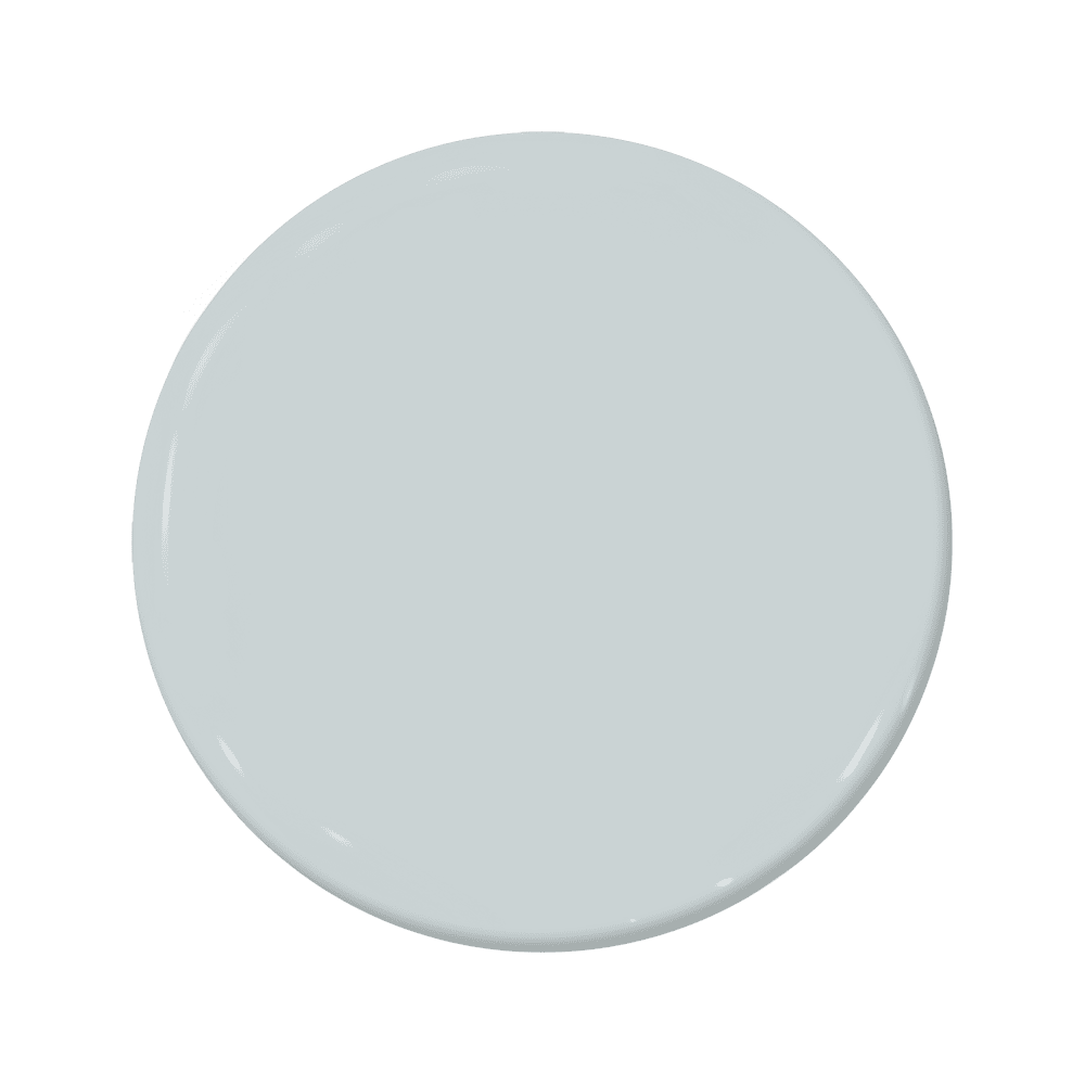 Overcast - C2-738-C2 Paint