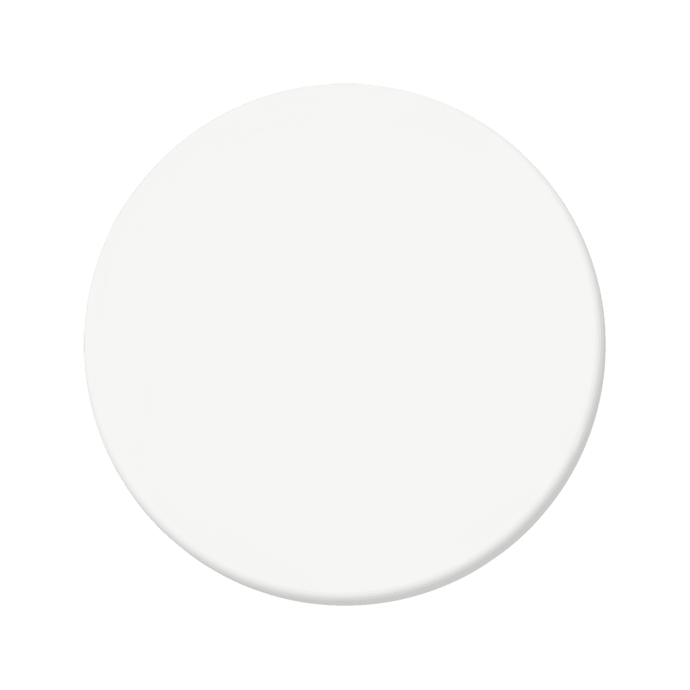 Whistler White - C2-756-C2 Paint