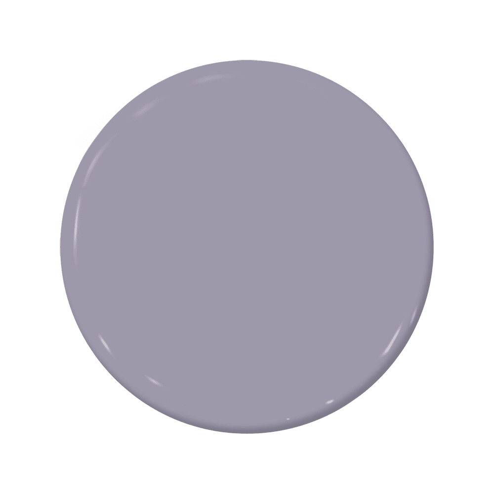 African Purple - C2-781-C2 Paint