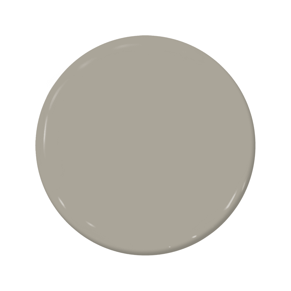 Motley - C2-797-C2 Paint