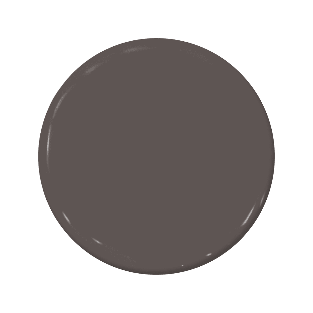 Chocolate Therapy - C2-806-C2 Paint
