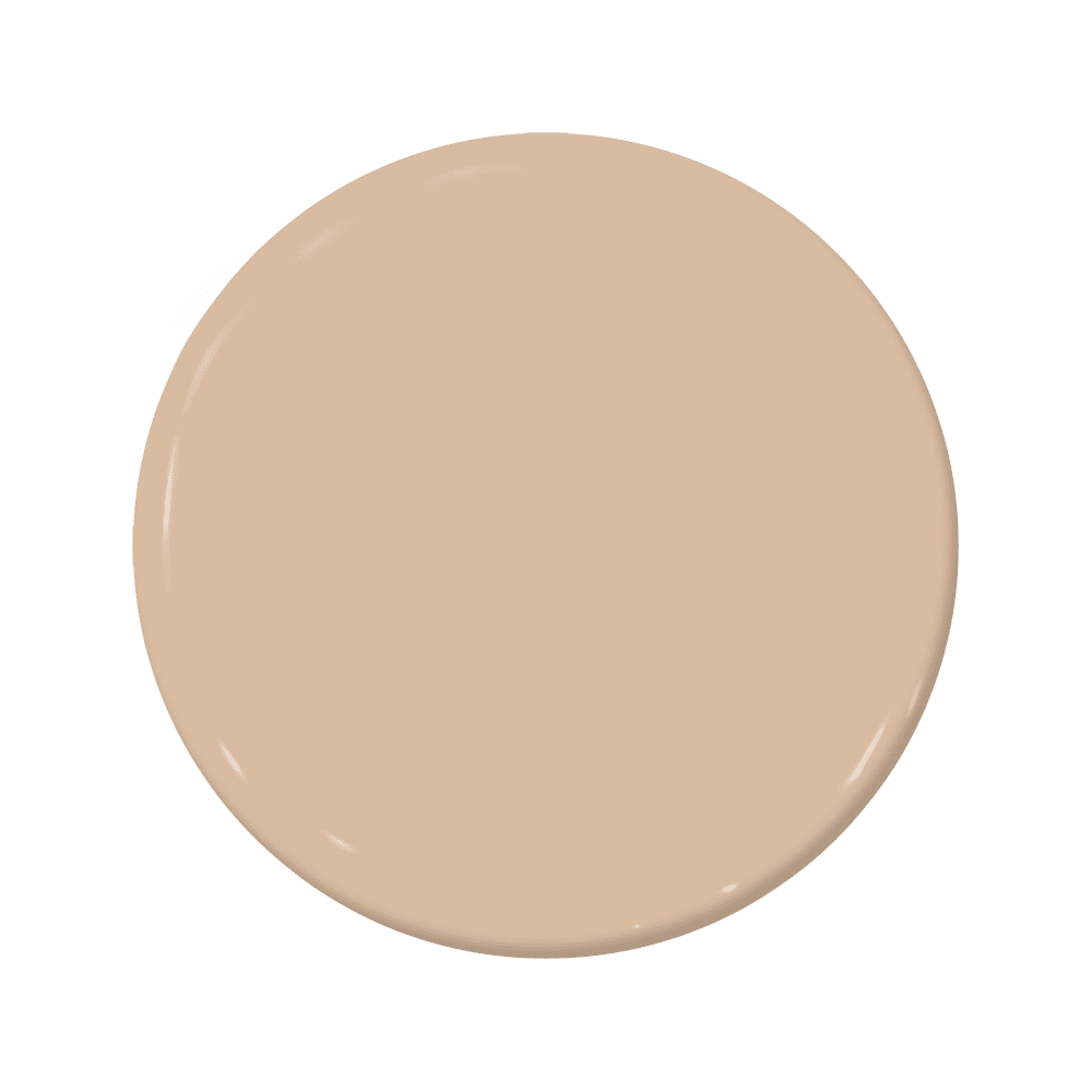 Pappadum - C2-815-C2 Paint