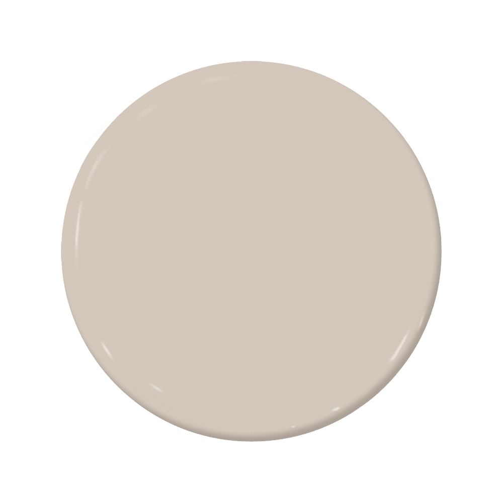 Water Chestnut - C2-818-C2 Paint