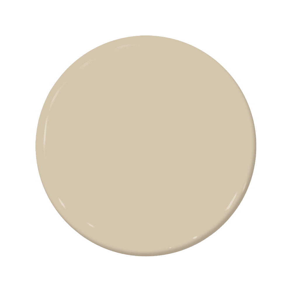 Potsticker - C2-832-C2 Paint