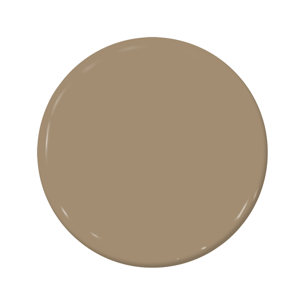 In the Bag - C2-840-C2 Paint