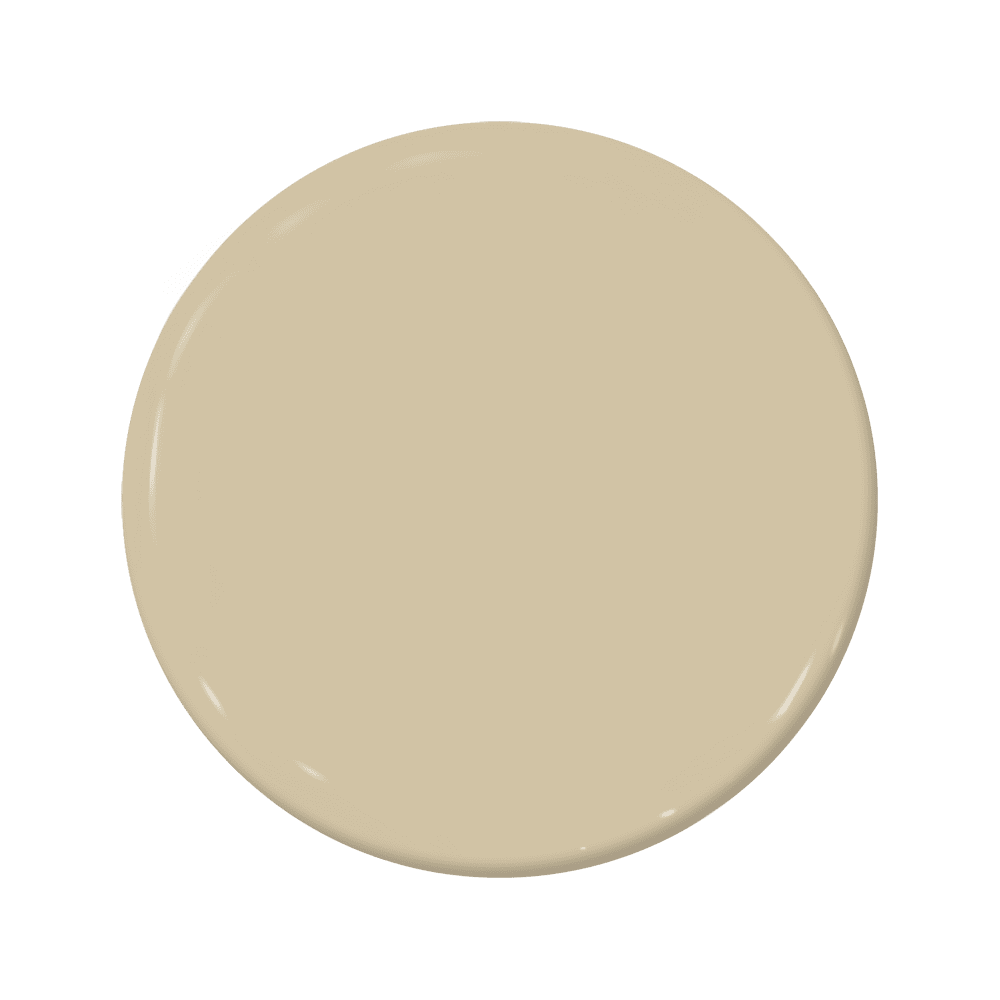 Hummus - C2-847-C2 Paint