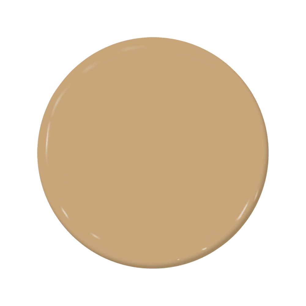 Gold Digger - C2-858-C2 Paint