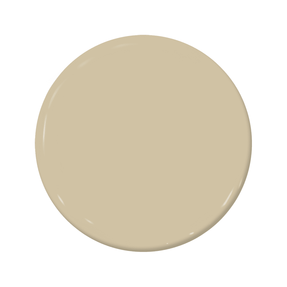 Buckwheat - C2-863-C2 Paint