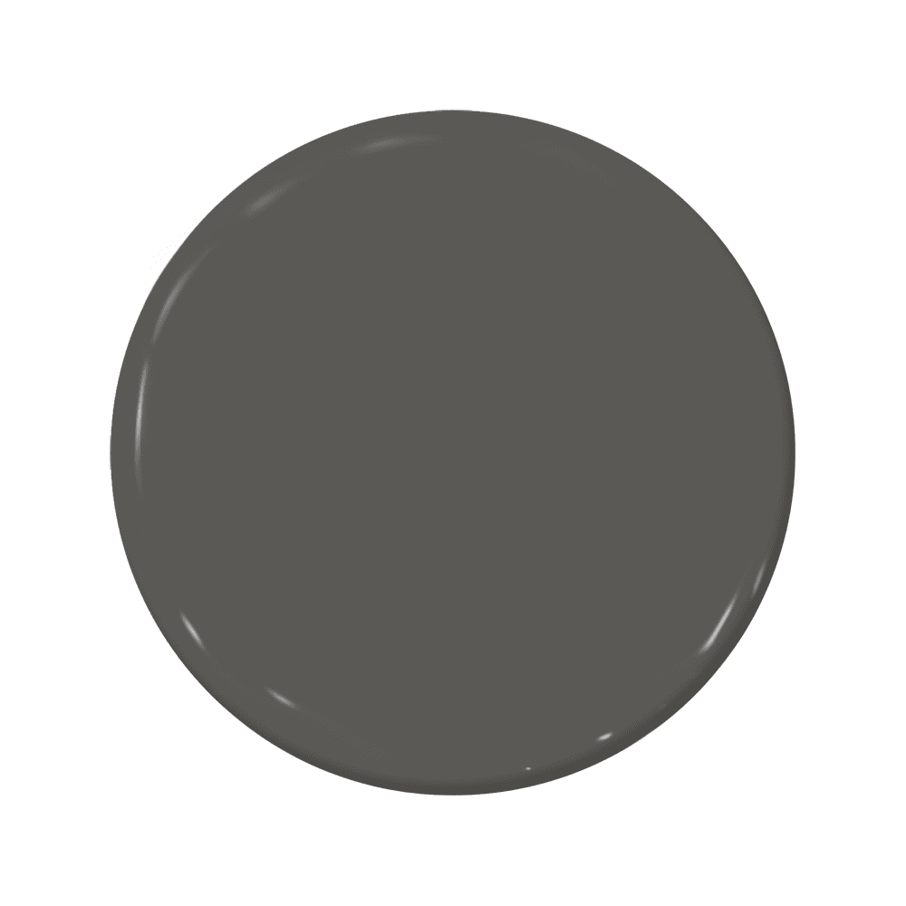 Muddy Waters - C2-869-C2 Paint