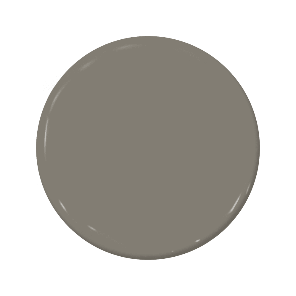 Barnacle - C2-872-C2 Paint