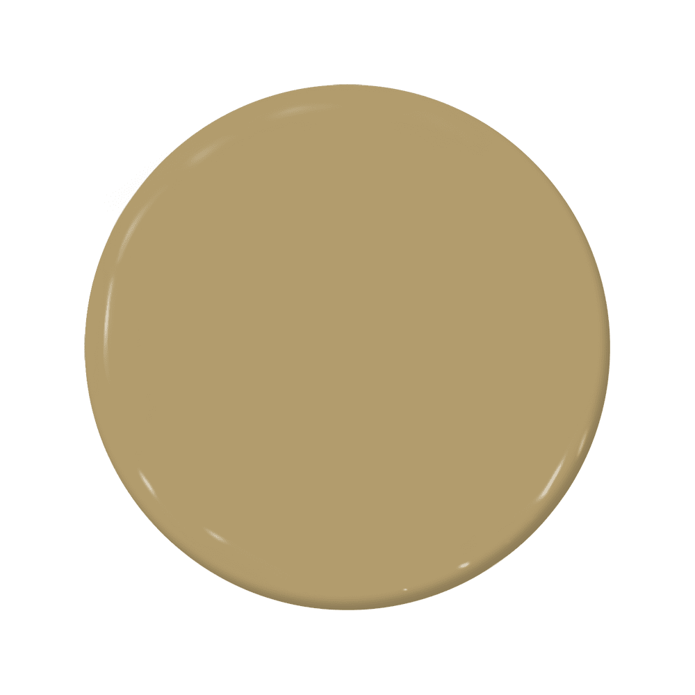Cheetah - C2-874-C2 Paint