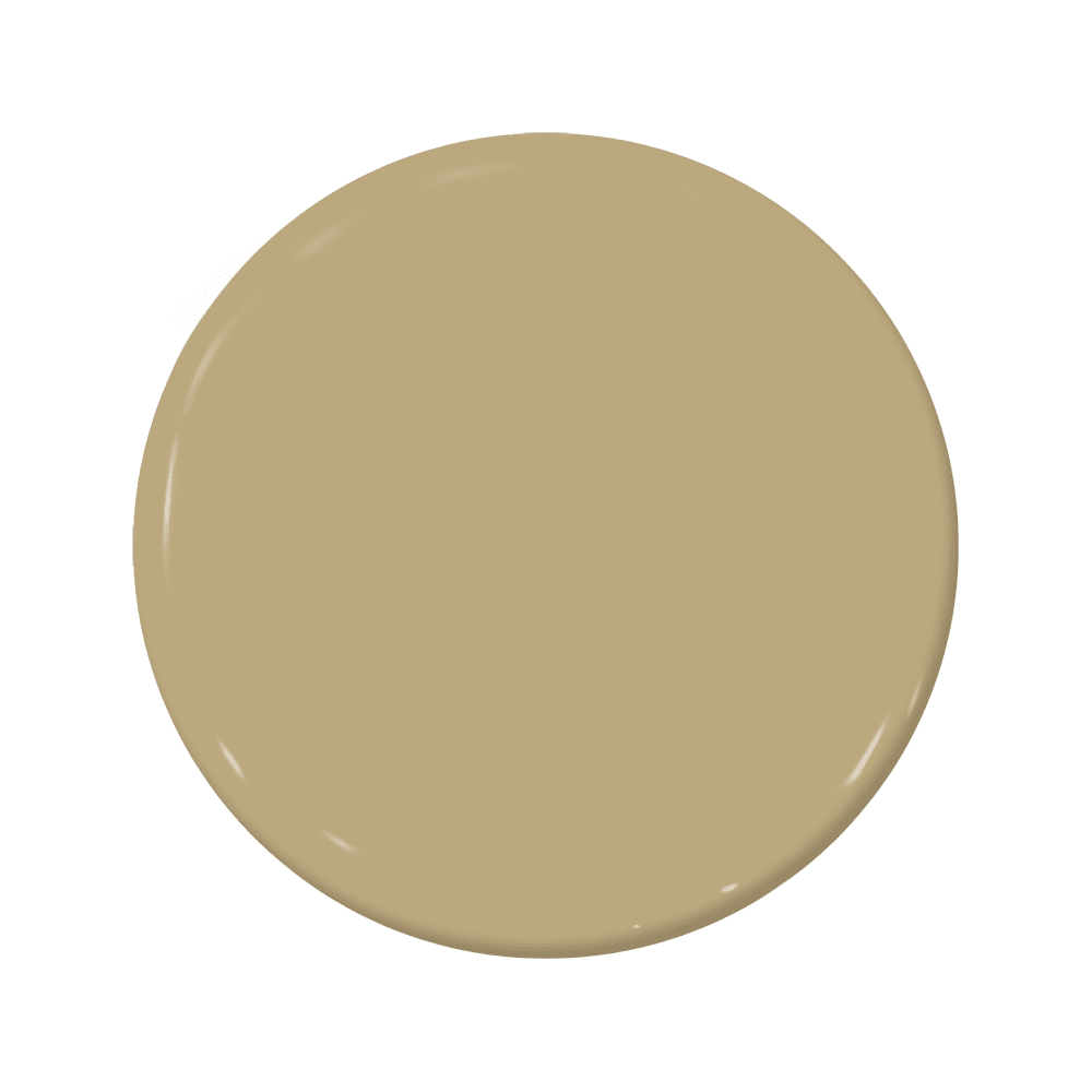 Bamboo - C2-875-C2 Paint