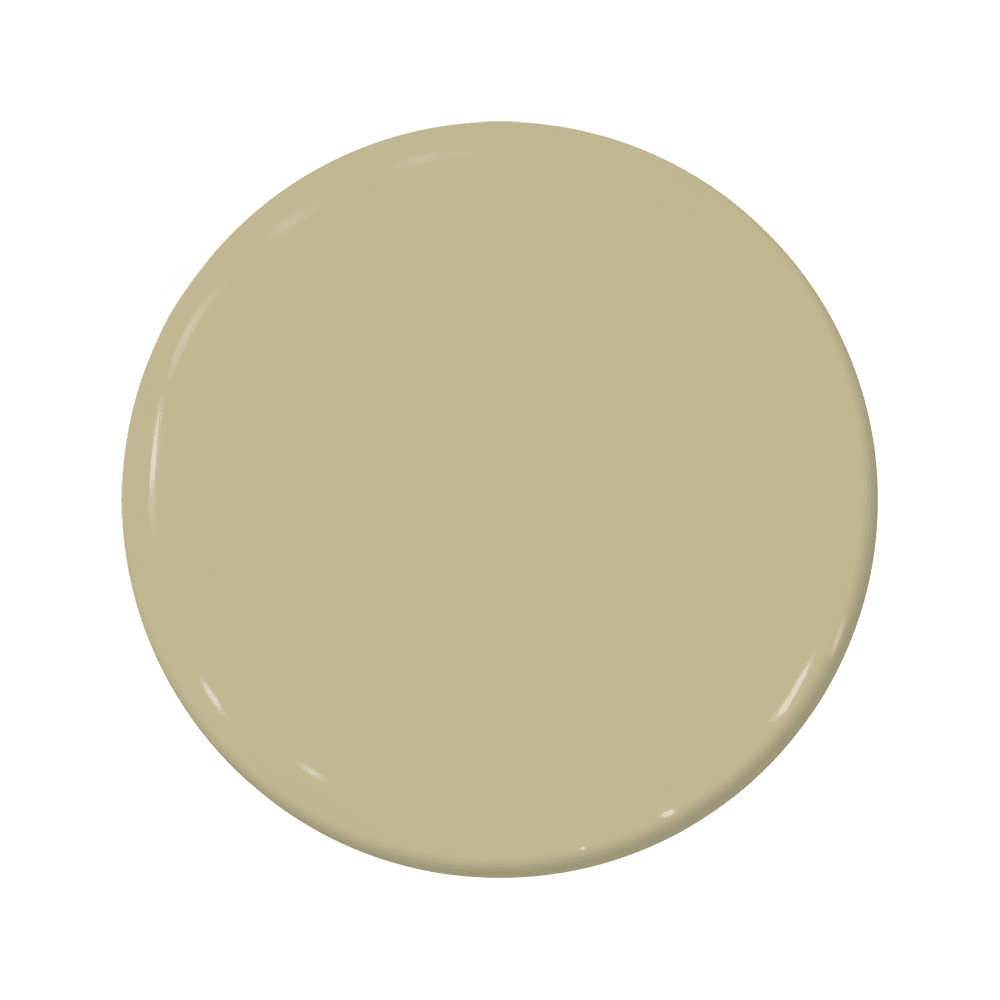 Enoki - C2-878-C2 Paint