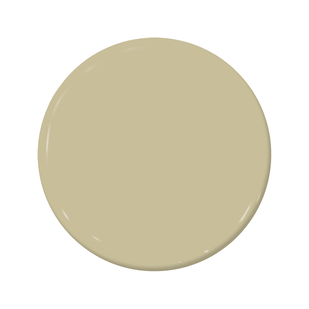Urban Dweller - C2-879-C2 Paint