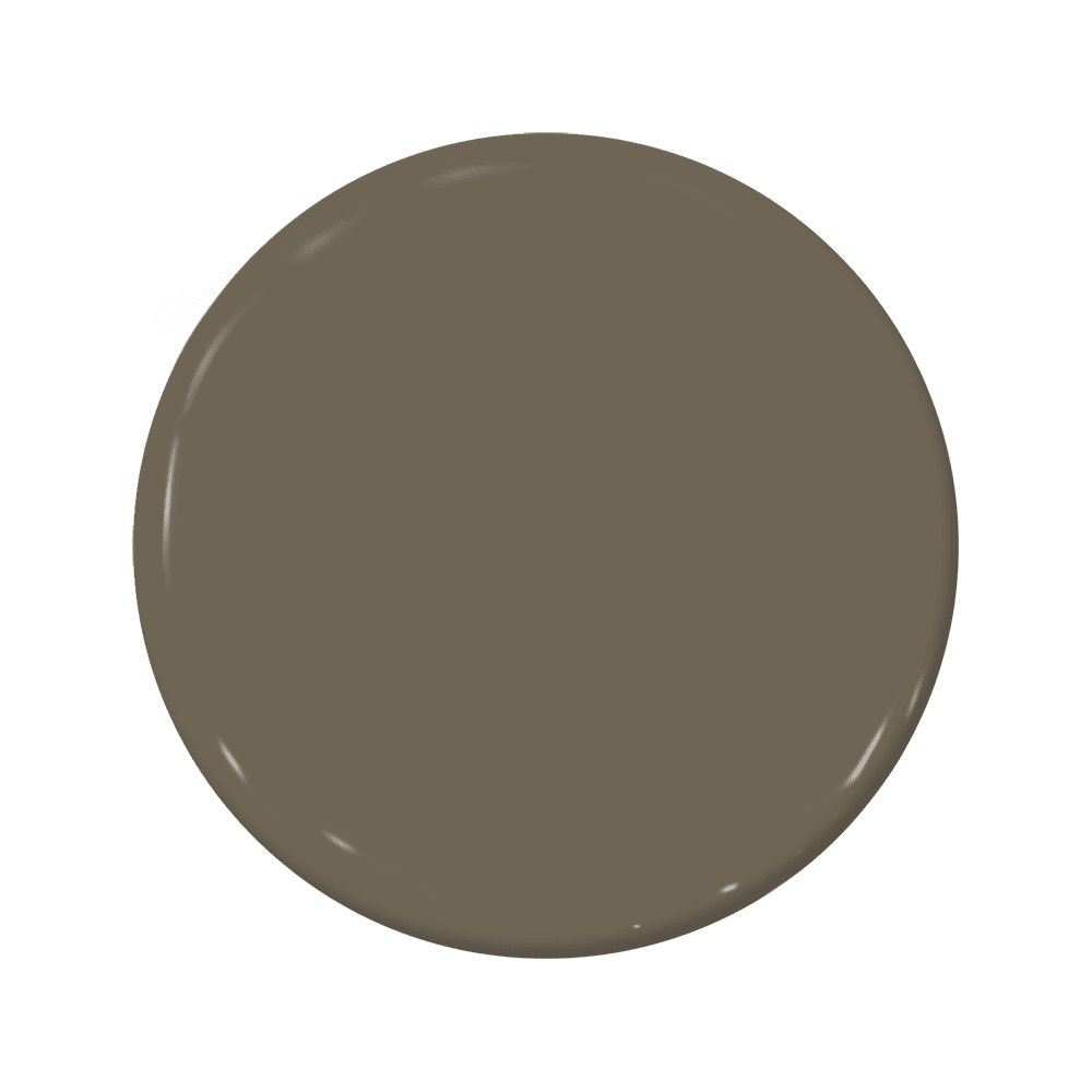 Mudskipper - C2-886-C2 Paint