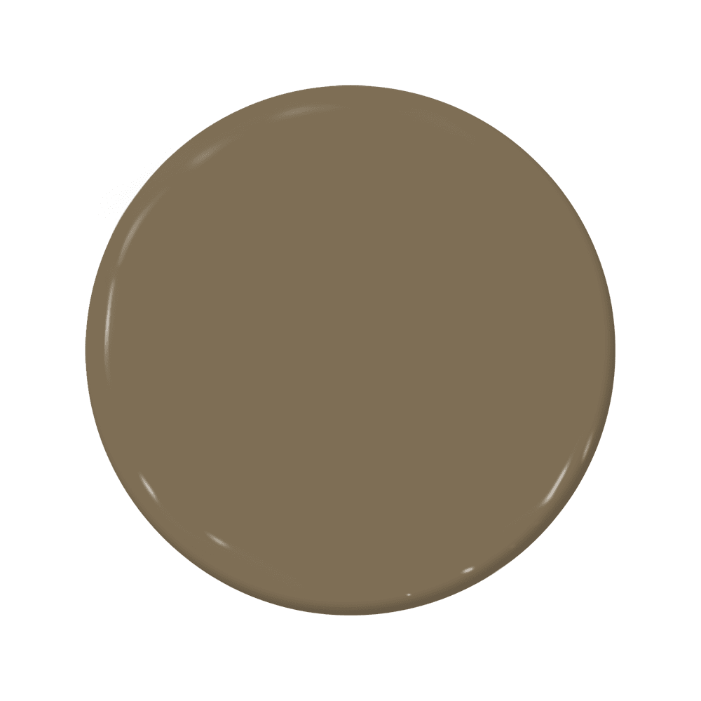 Earth - C2-887-C2 Paint