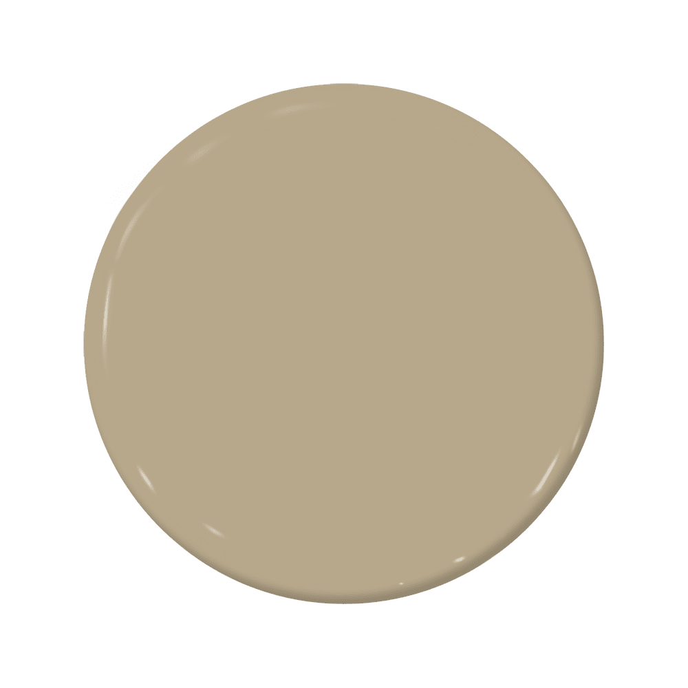 Trenchcoat - C2-893-C2 Paint