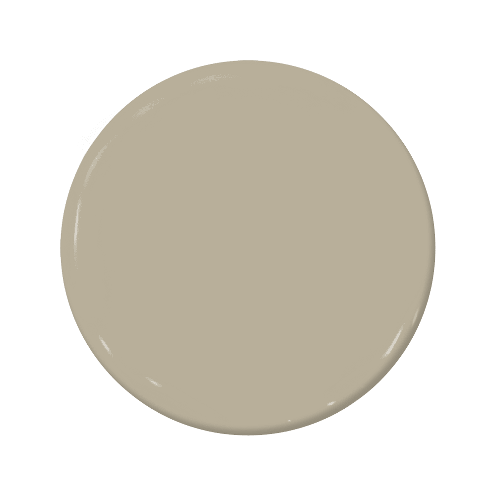 Missing Link - C2-894-C2 Paint