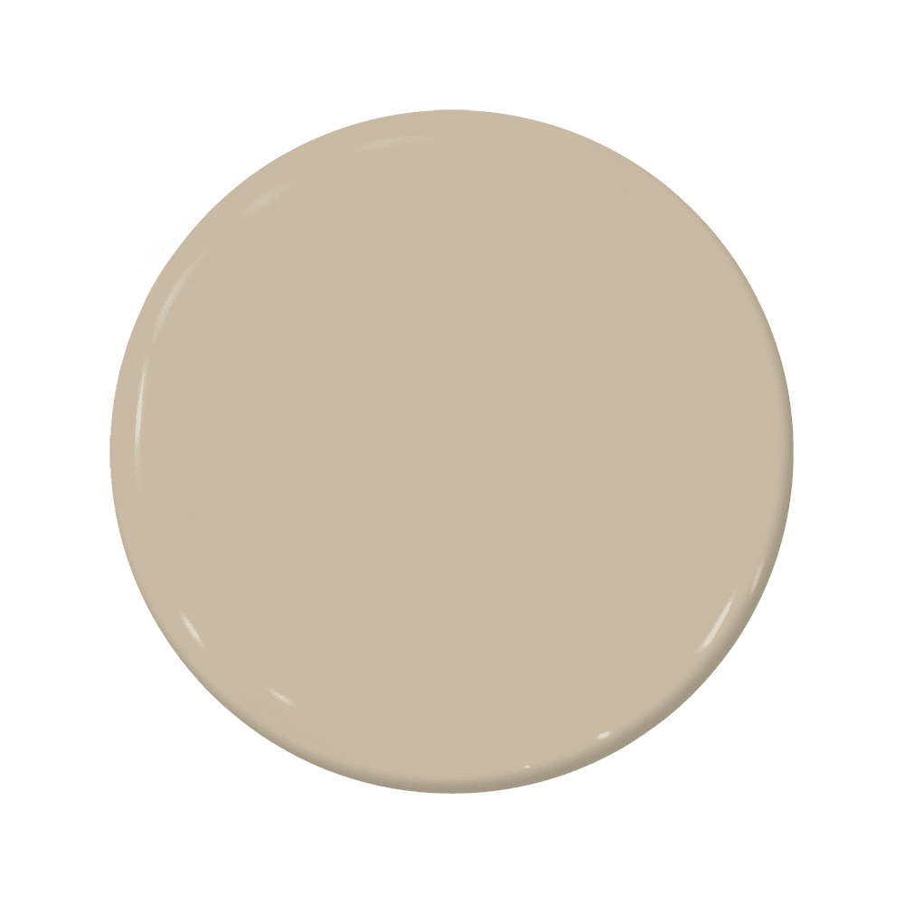 Cakewalk - C2-895-C2 Paint
