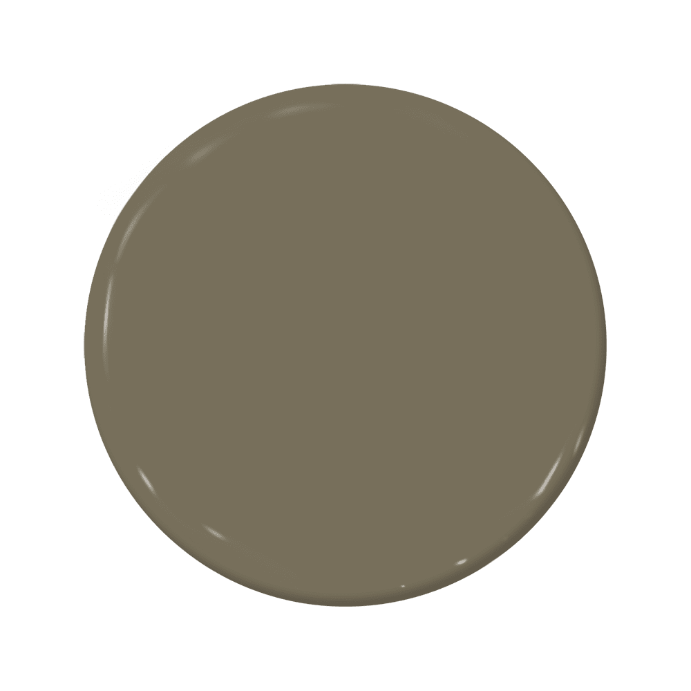 Lounge Lizard - C2-903-C2 Paint