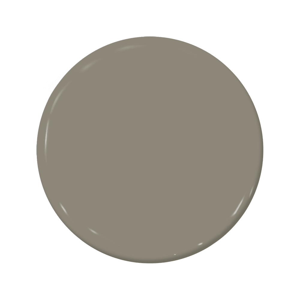 Woodpecker - C2-905-C2 Paint