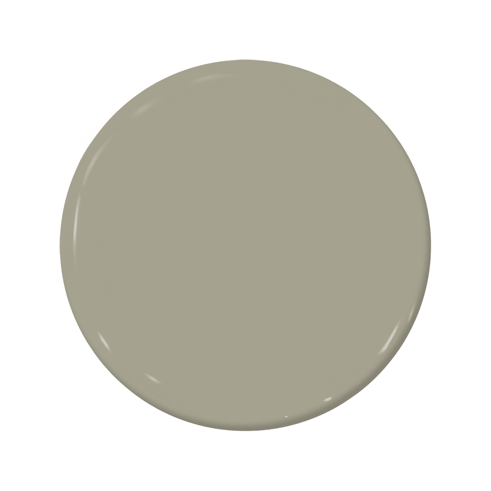 Quahog - C2-908-C2 Paint