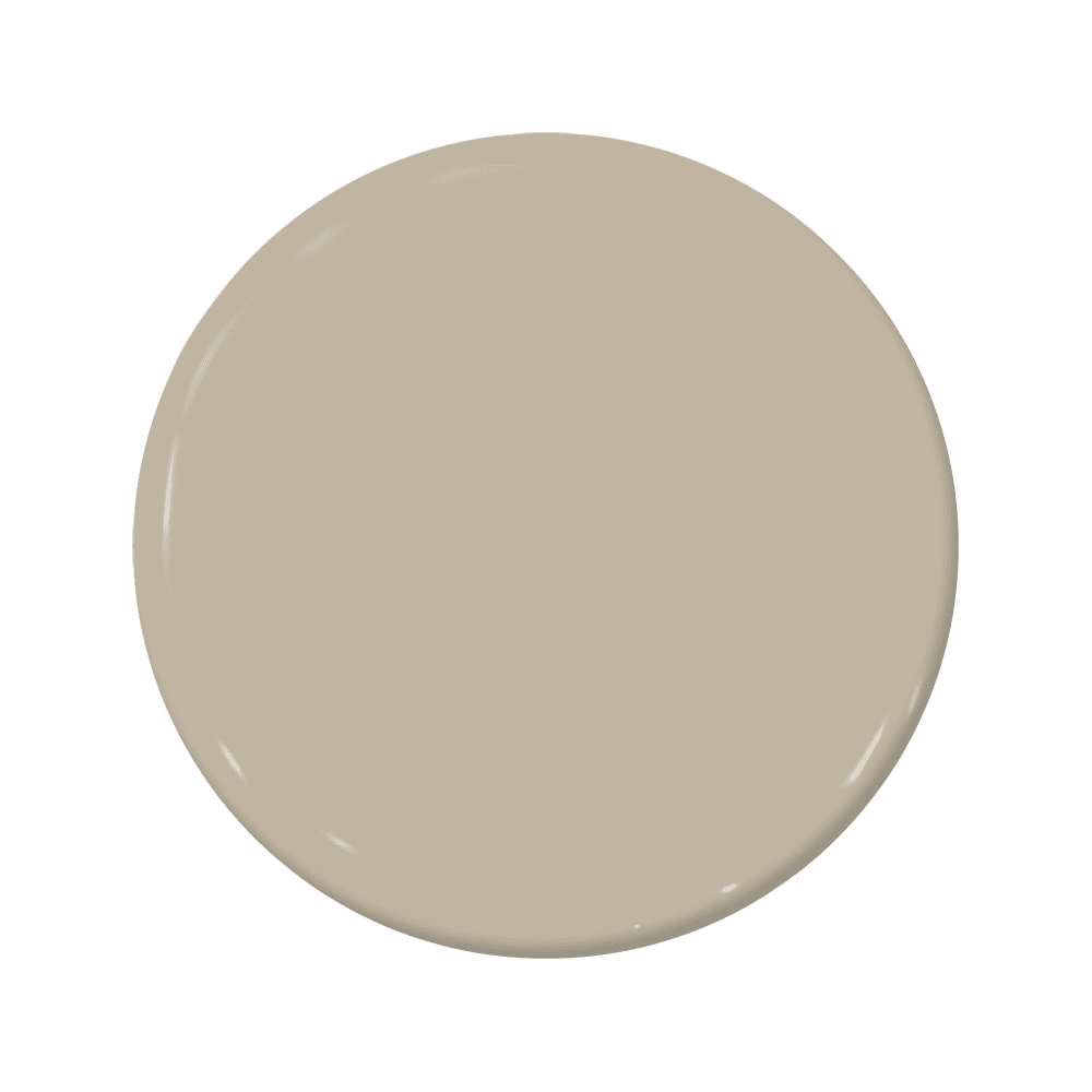 Ostrich - C2-909-C2 Paint