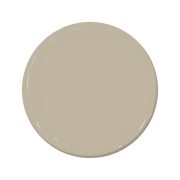 Ostrich - C2-909-C2 Paint