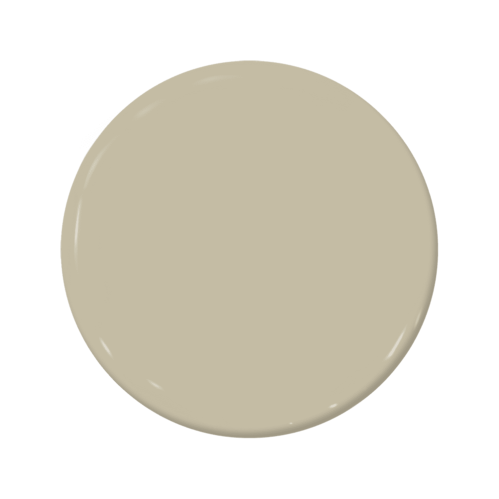 Bristle - C2-910-C2 Paint