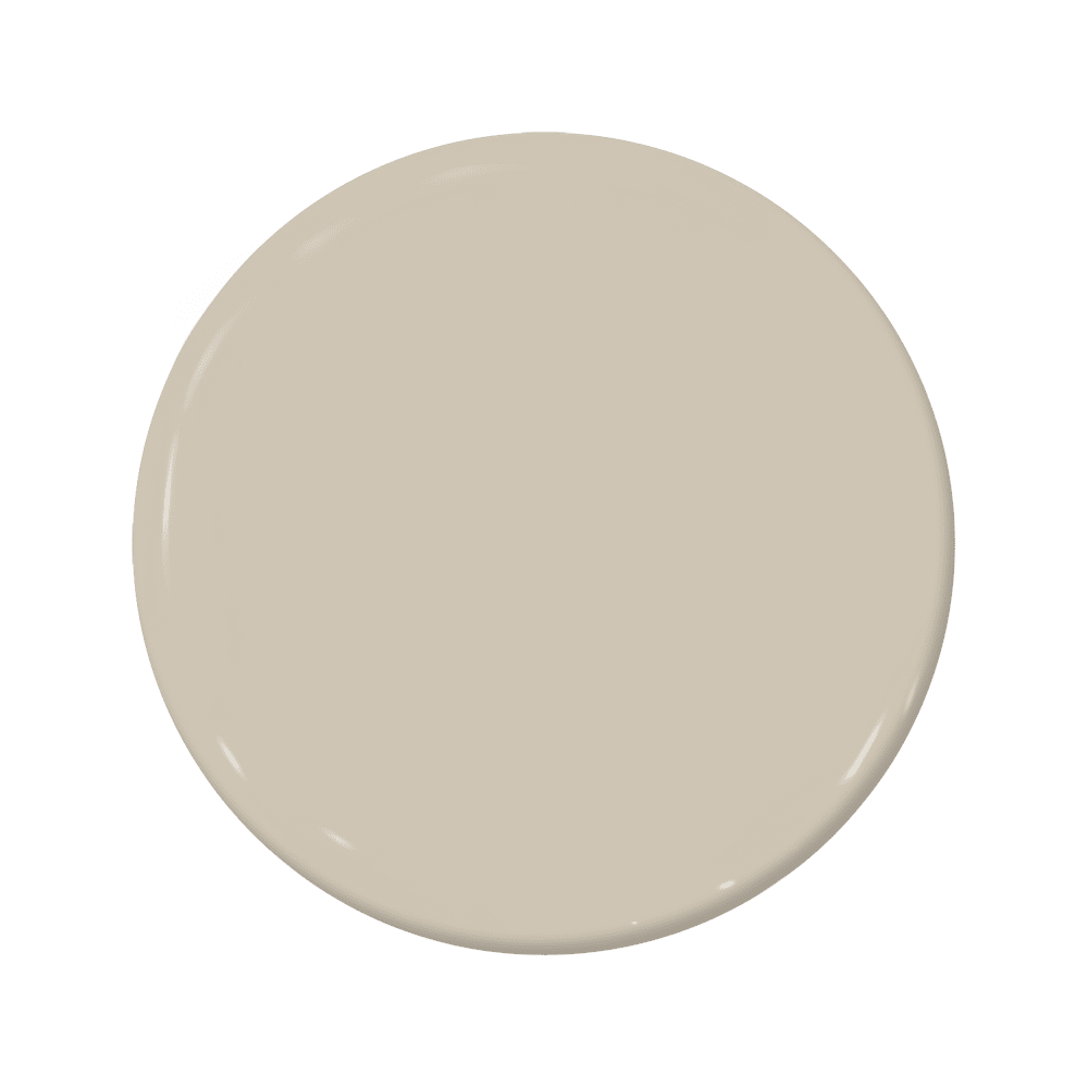 Shiitake - C2-911-C2 Paint
