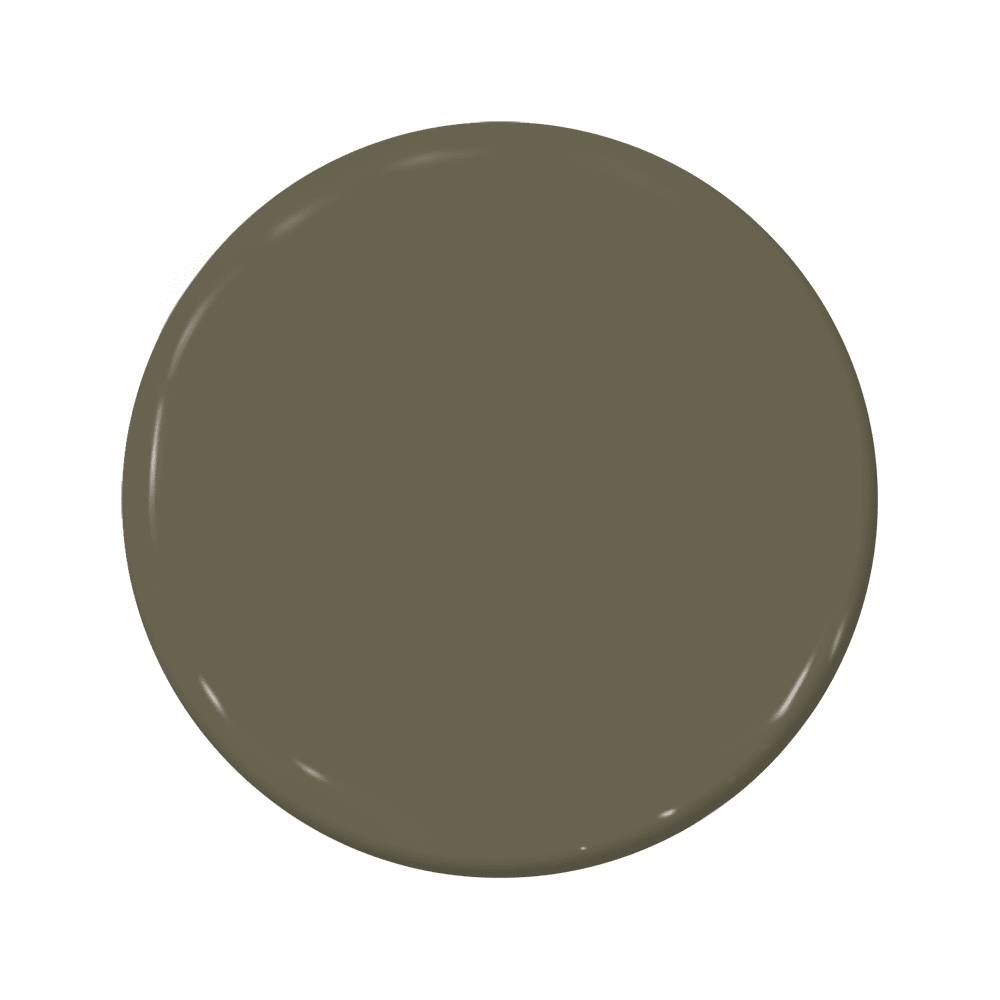 Rainforest - C2-919-C2 Paint
