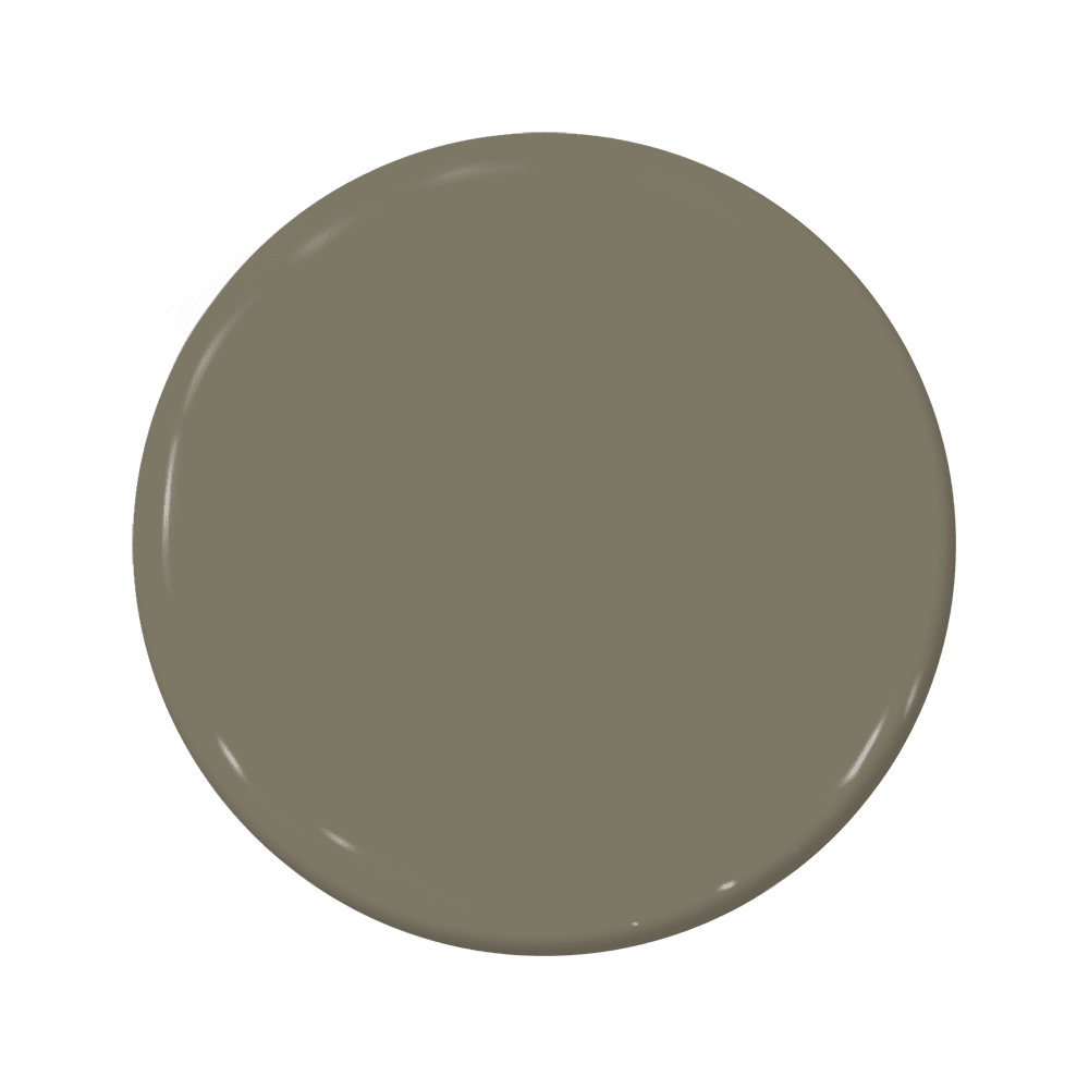 Fugitive - C2-920-C2 Paint