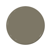 Fugitive - C2-920-C2 Paint