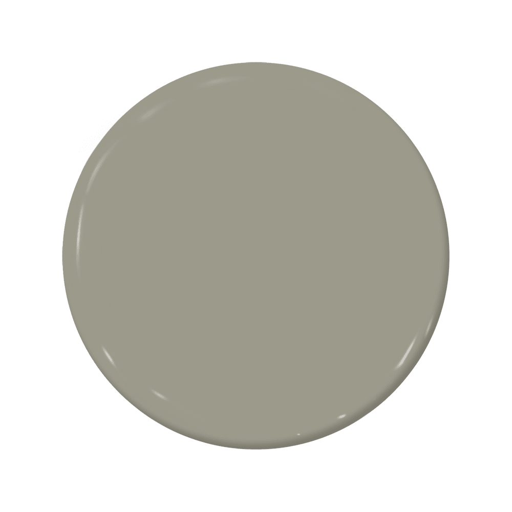 Wood Ash - C2-923-C2 Paint