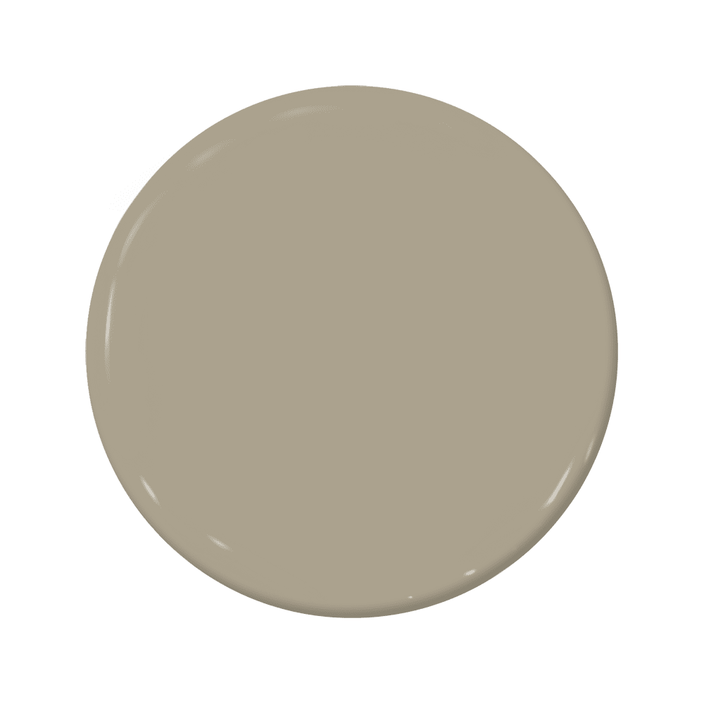 Fossil - C2-926-C2 Paint