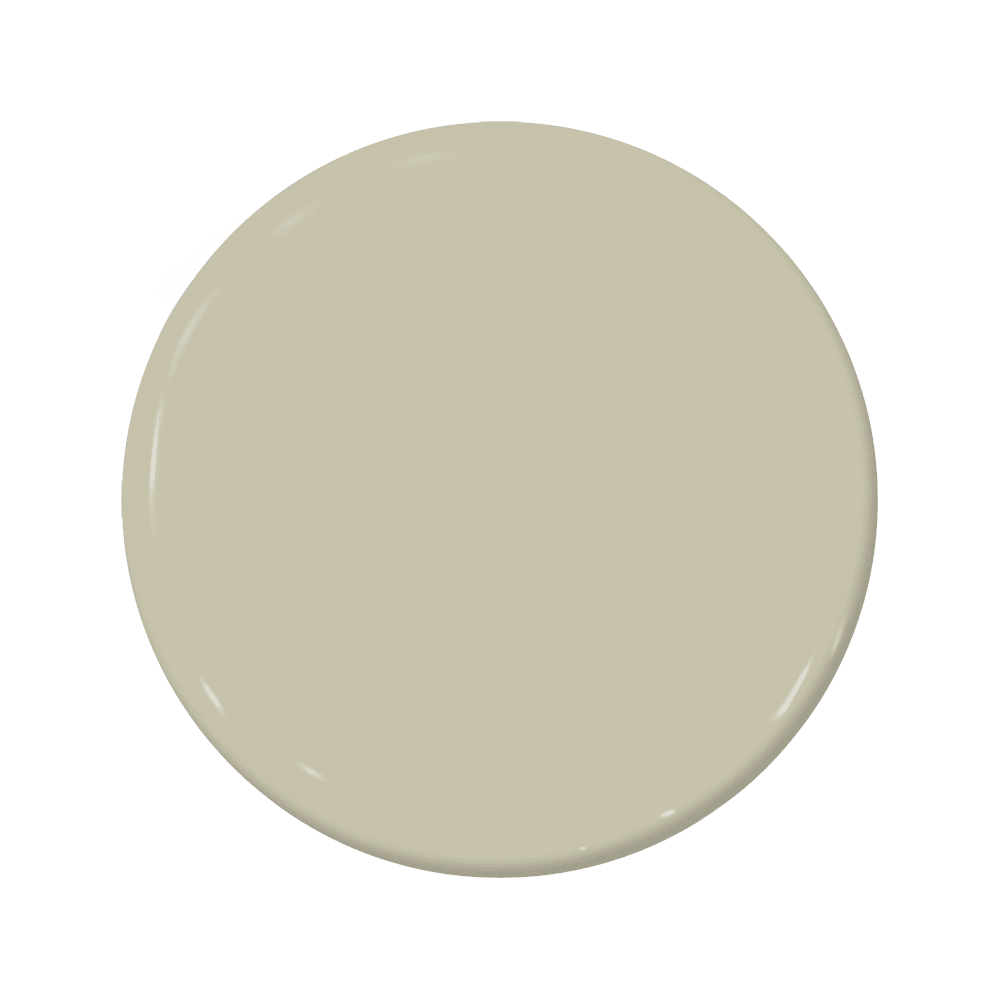 Paddy Whack - C2-929-C2 Paint