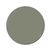 Olive Branch - C2-938-C2 Paint