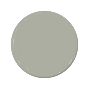 Russian Olive - C2-941-C2 Paint