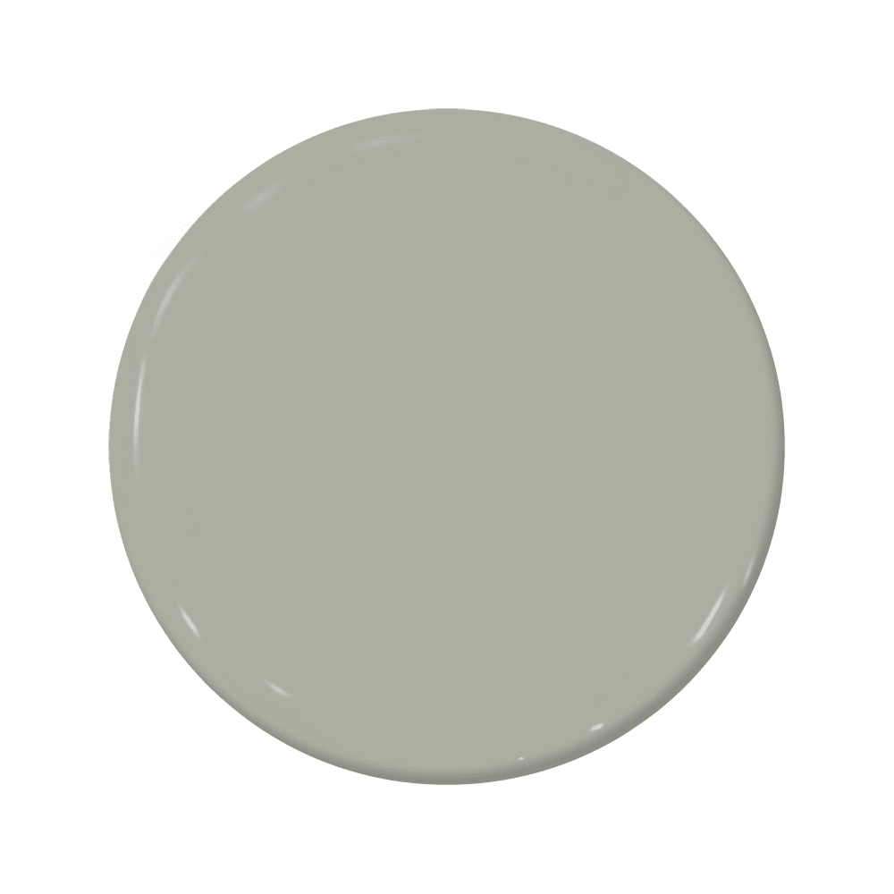 Russian Olive - C2-941-C2 Paint