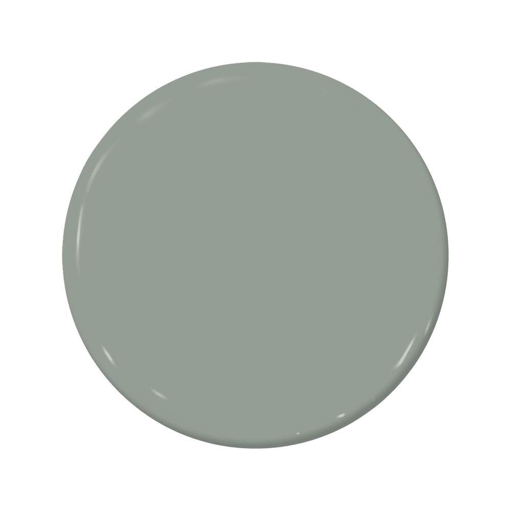 Salix - C2-954-C2 Paint