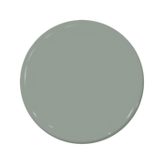 Salix - C2-954-C2 Paint