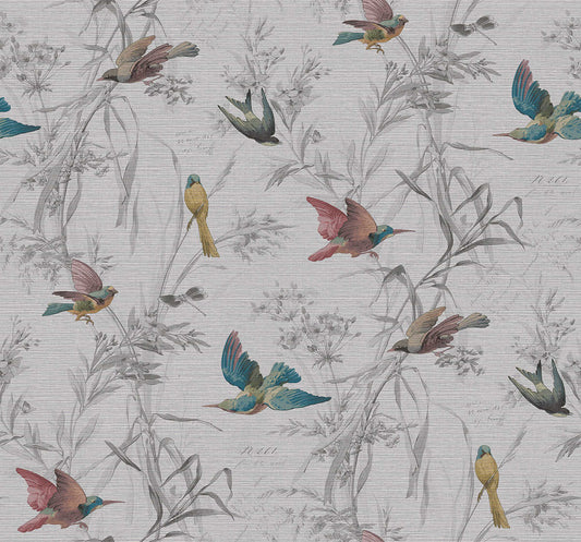 Birds of Paradise